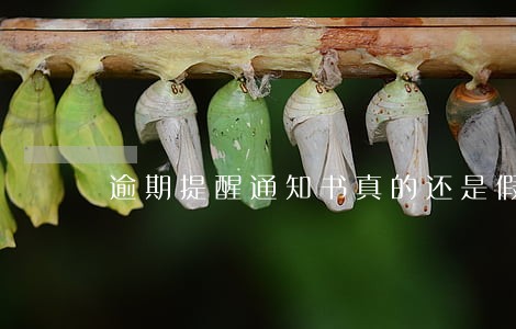 逾期提醒通知书真的还是假的 逾期提醒通知书真的还是假的