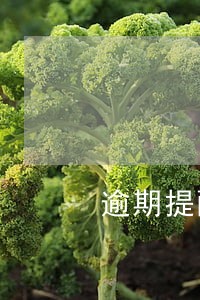逾期提醒项目 逾期提醒项目