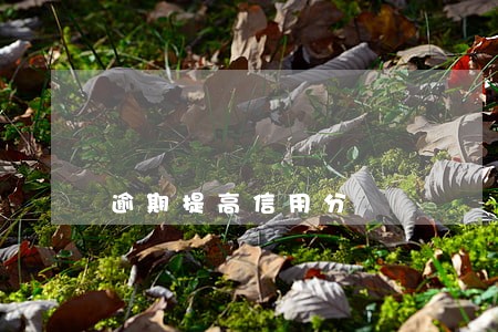 逾期提高信用分 逾期提高信用分