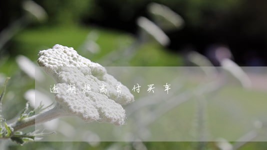 逾期提高首付买车 逾期提高首付买车