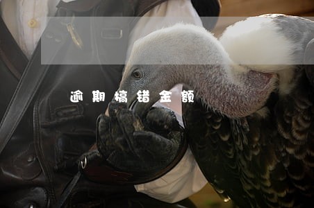 逾期搞错金额 逾期搞错金额