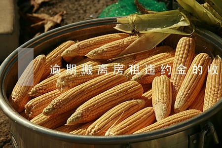 逾期搬离房租违约金的收取 逾期搬离房租违约金的收取