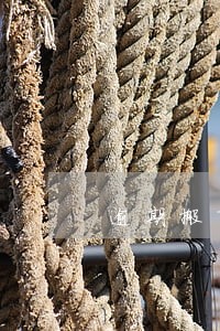 逾期搬离撤离将追究法律责任 逾期搬离撤离将追究法律责任