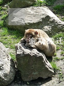 逾期搬迁通知 逾期搬迁通知