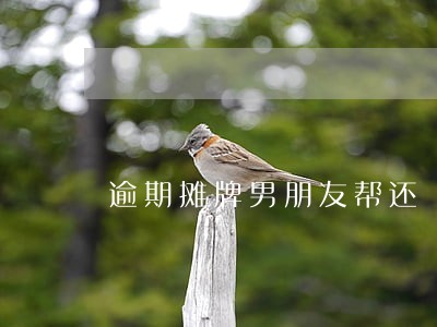 逾期摊牌男朋友帮还 逾期摊牌男朋友帮还