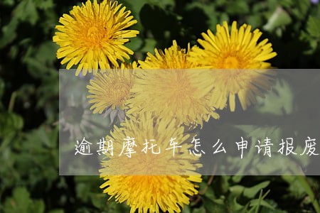 逾期摩托车怎么申请报废 逾期摩托车怎么申请报废