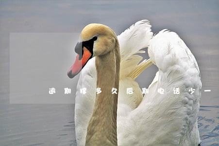 逾期撑多久后期电话少一些 逾期撑多久后期电话少一些