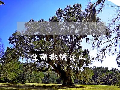 逾期撤销什么意思 逾期撤销什么意思