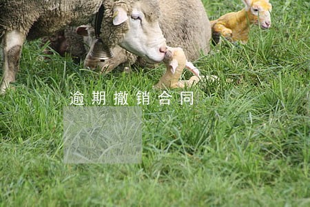 逾期撤销合同 逾期撤销合同