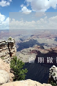 逾期撤销征信多久更新 逾期撤销征信多久更新