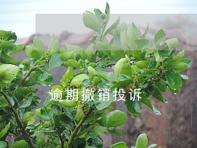 逾期撤销投诉 逾期撤销投诉