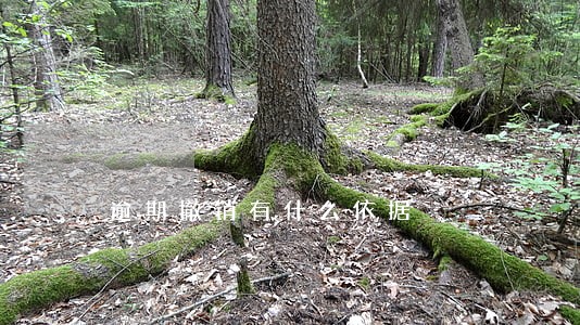 逾期撤销有什么依据