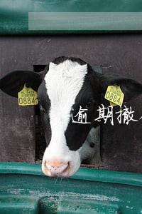 逾期撤销案件 逾期撤销案件