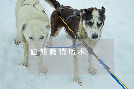 逾期撤销话术 逾期撤销话术