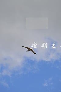 逾期支付上调租赁费 逾期支付上调租赁费