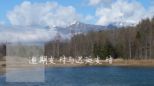 逾期支付与迟延支付 逾期支付与迟延支付