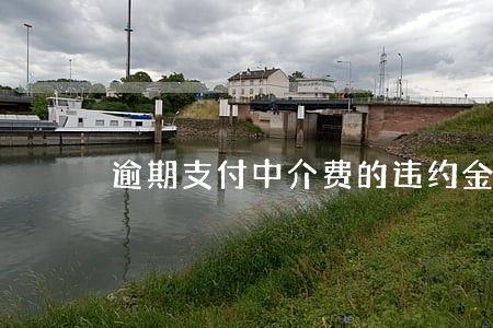 逾期支付中介费的违约金 逾期支付中介费的违约金