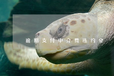 逾期支付中介费违约金 逾期支付中介费违约金