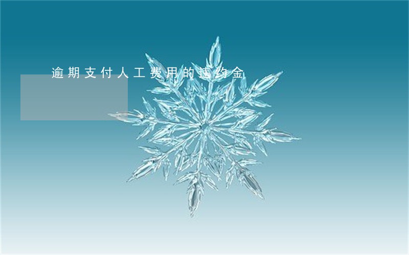 逾期支付人工费用的违约金 逾期支付人工费用的违约金
