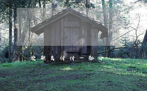逾期支付付一部分 逾期支付付一部分