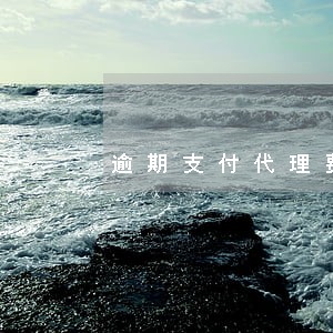 逾期支付代理费的违约金 逾期支付代理费的违约金