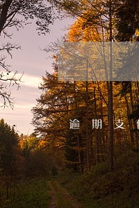 逾期支付价款利率 逾期支付价款利率