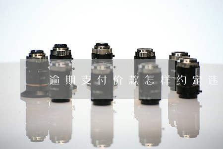 逾期支付价款怎样约定违约金 逾期支付价款怎样约定违约金