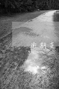 逾期支付价款的法律责任 逾期支付价款的法律责任