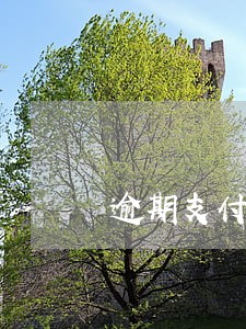 逾期支付价款的违约 逾期支付价款的违约