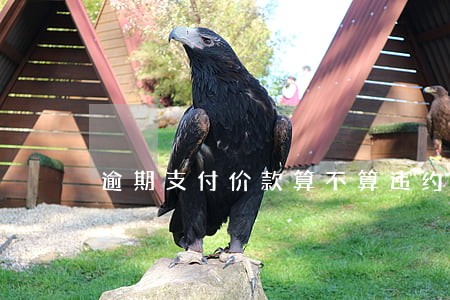 逾期支付价款算不算违约 逾期支付价款算不算违约