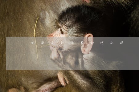 逾期支付保费如何处理 逾期支付保费如何处理