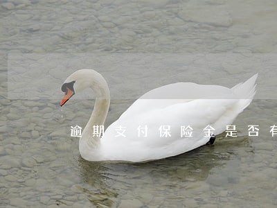 逾期支付保险金是否有利息 逾期支付保险金是否有利息