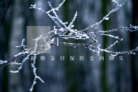 逾期支付保险金的损失