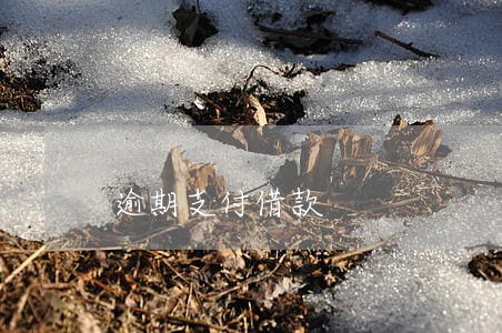 逾期支付借款 逾期支付借款