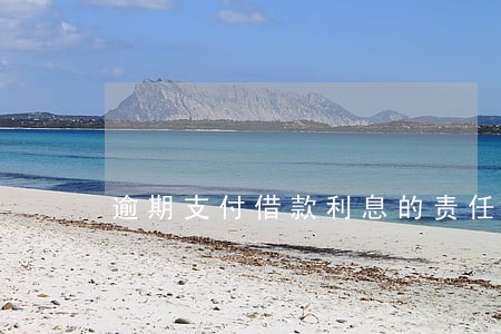 逾期支付借款利息的责任 逾期支付借款利息的责任
