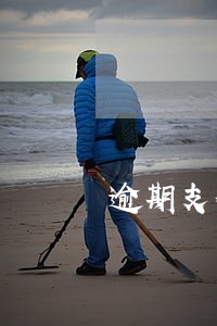 逾期支付借款利息违约金 逾期支付借款利息违约金