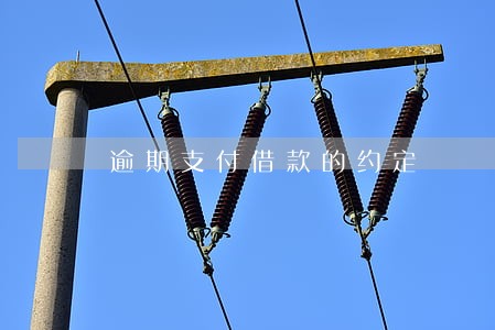 逾期支付借款的约定 逾期支付借款的约定