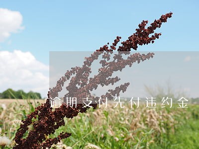 逾期支付先付违约金 逾期支付先付违约金