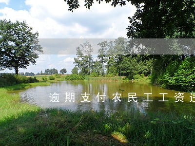 逾期支付农民工工资违约金 逾期支付农民工工资违约金