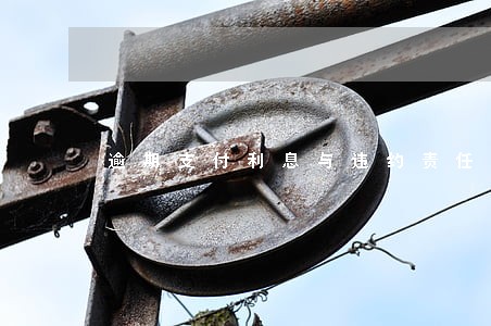 逾期支付利息与违约责任 逾期支付利息与违约责任