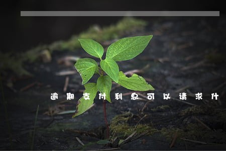 逾期支付利息可以请求什么赔偿 逾期支付利息可以请求什么赔偿