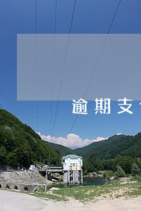 逾期支付利息可怎么约定