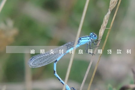 逾期支付利息同期贷款利率 逾期支付利息同期贷款利率