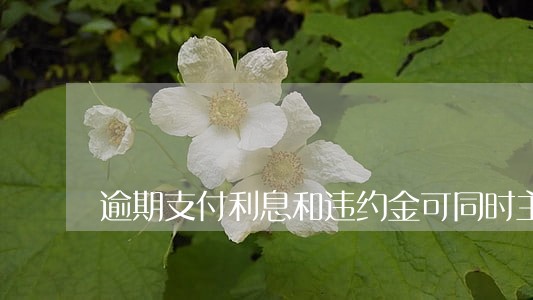 逾期支付利息和违约金可同时主张