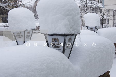 逾期支付利息怎么办 逾期支付利息怎么办