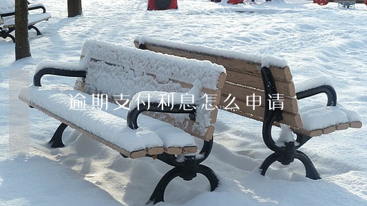 逾期支付利息怎么申请 逾期支付利息怎么申请