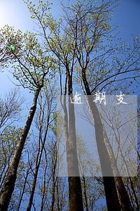 逾期支付利息怎么计算公式 逾期支付利息怎么计算公式