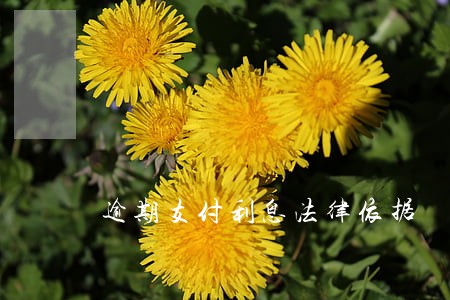 逾期支付利息法律依据 逾期支付利息法律依据