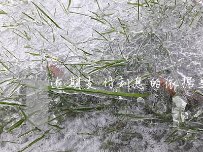 逾期支付利息的依据是什么 逾期支付利息的依据是什么