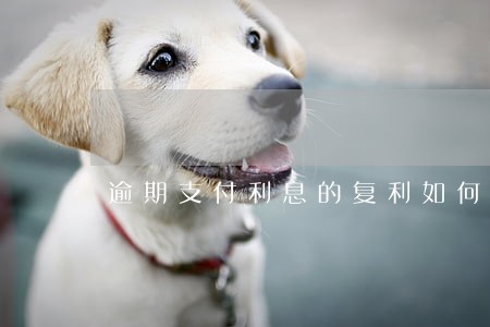 逾期支付利息的复利如何计算 逾期支付利息的复利如何计算